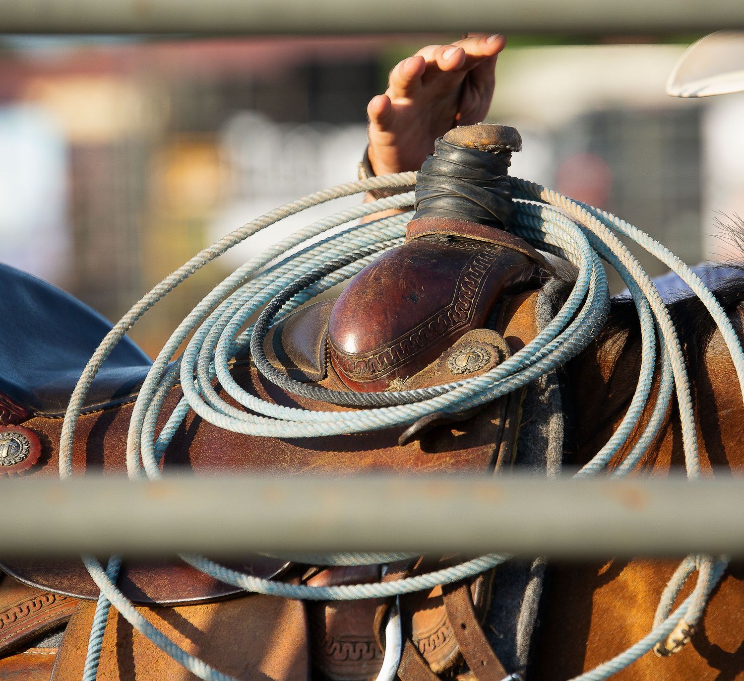 Professional rodeo photography in Oklahoma – action-packed moments of cowboys, bull riding, and barrel racing by R&T Photography