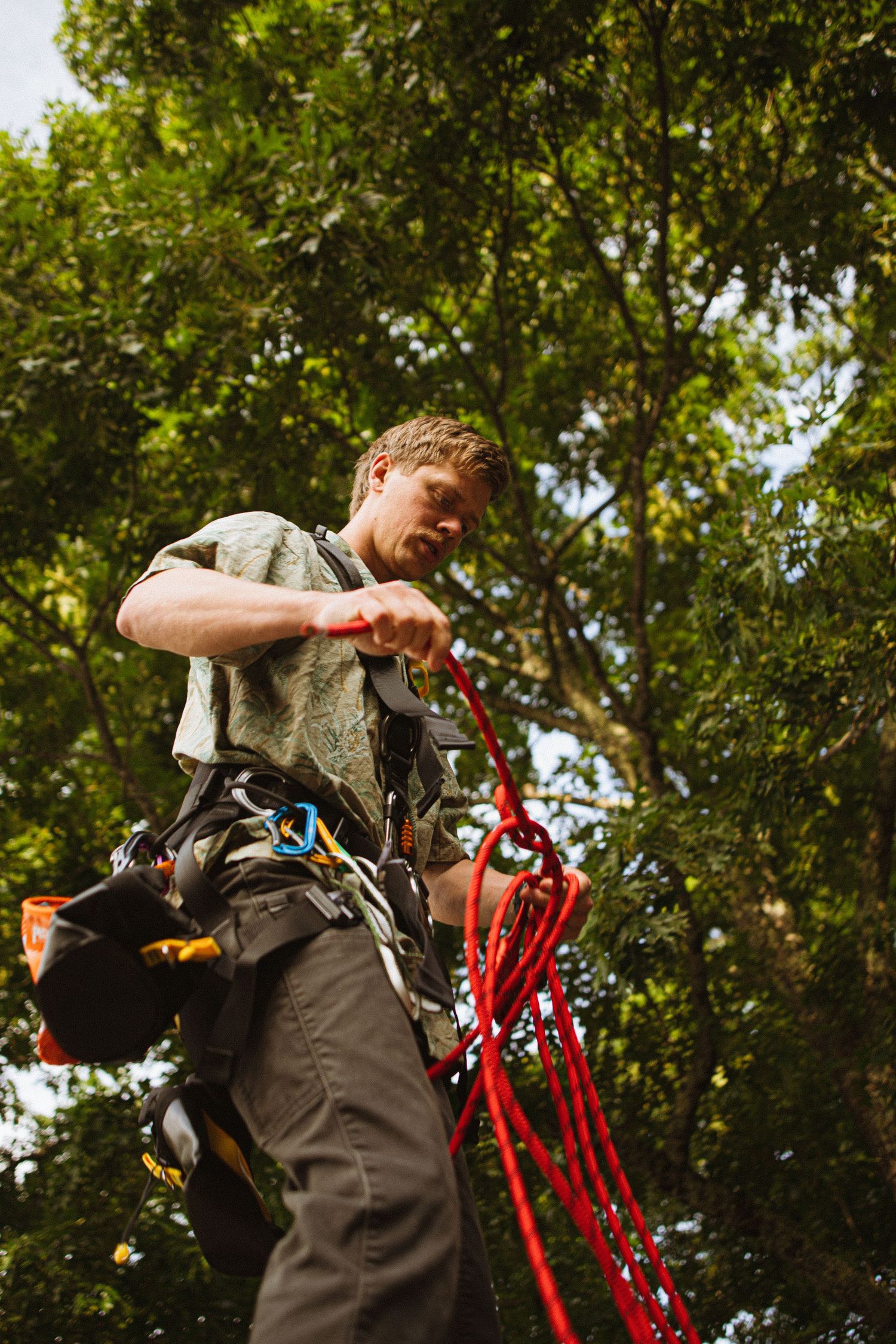 Man in climbing harness holding red rope outdoors, preparing for tree climbing adventure in lush green forest.