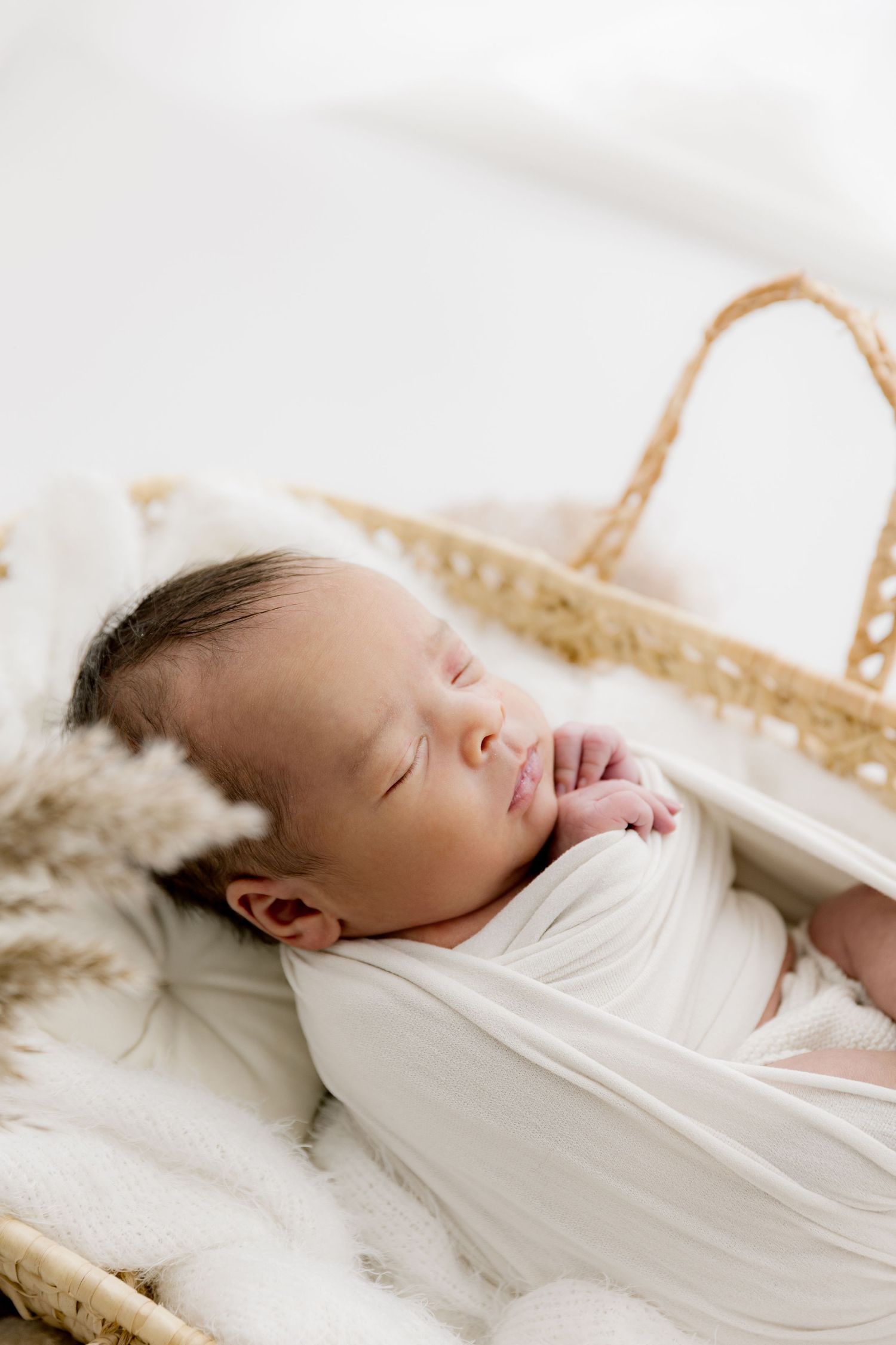 Newborn Photoshoot, Cannock