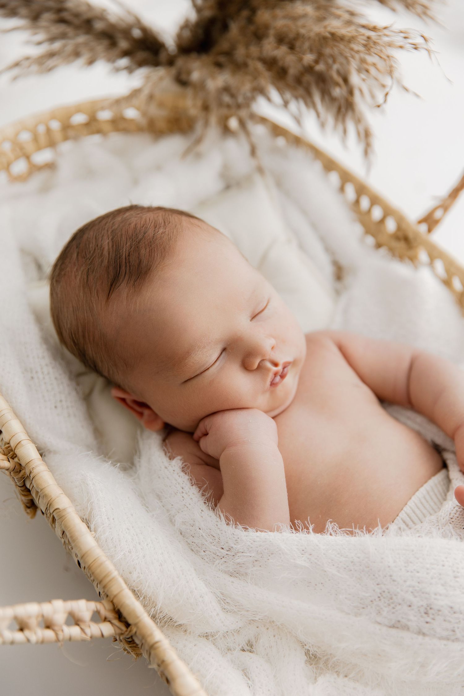 Newborn Photoshoot, Cannock