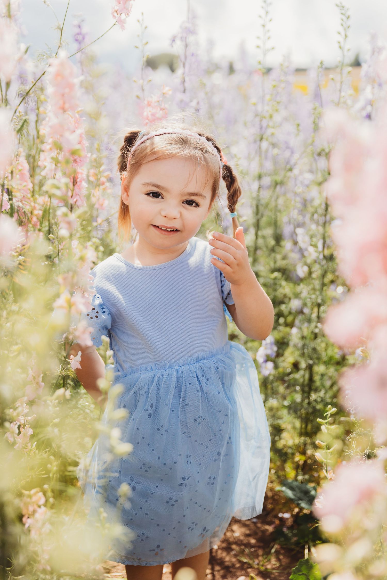 Shropshire Petal Fields Photoshoot Cannock, Staffordshire, West Midlands, Birmingham