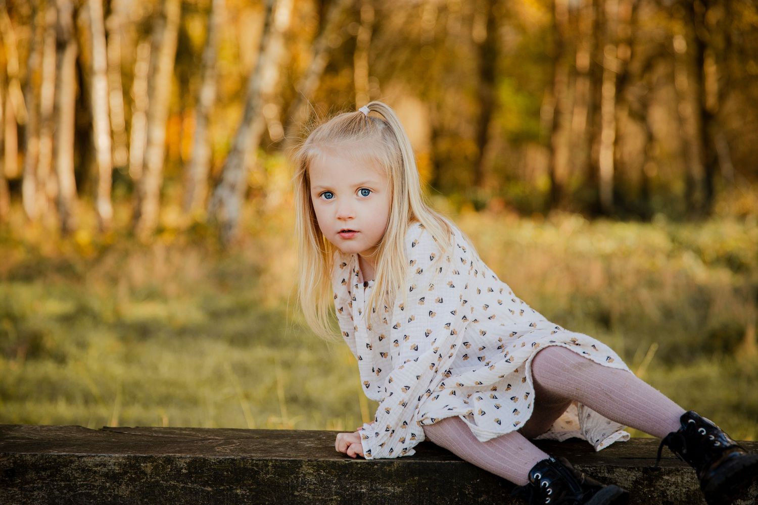 Outdoor Photoshoot Cannock Chase, Staffordshire, West Midlands, Birmingham