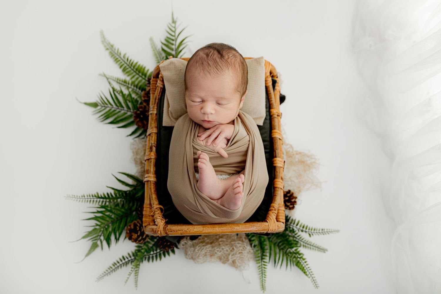 Newborn Photoshoot Cannock, Staffordshire, West Midlands, Birmingham
