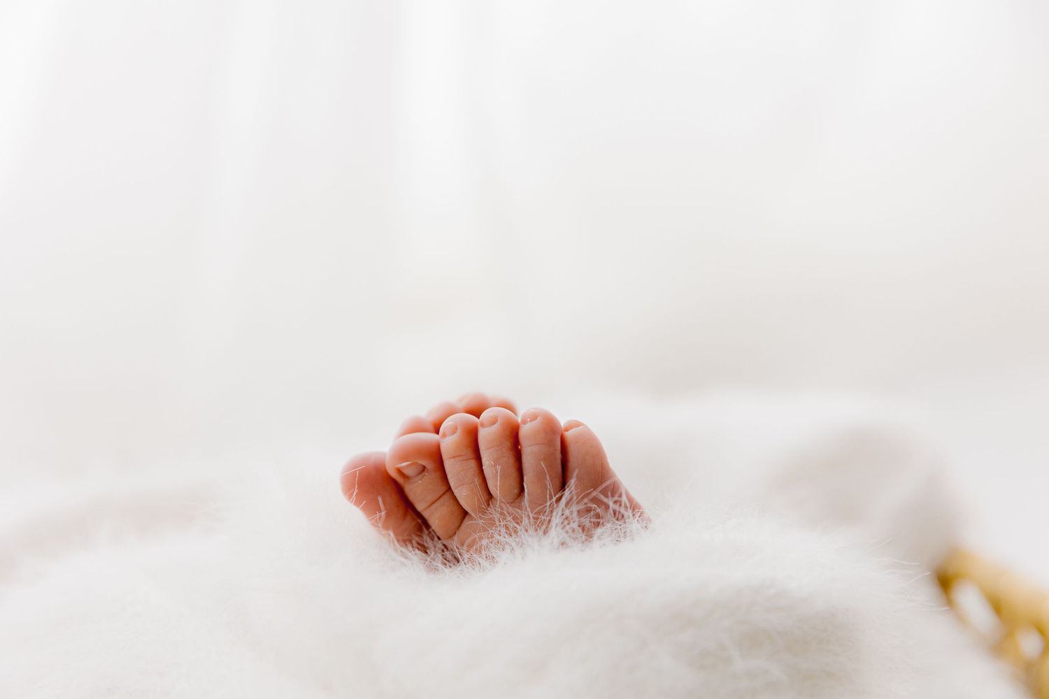 Newborn Photoshoot Cannock, Staffordshire, West Midlands, Birmingham
