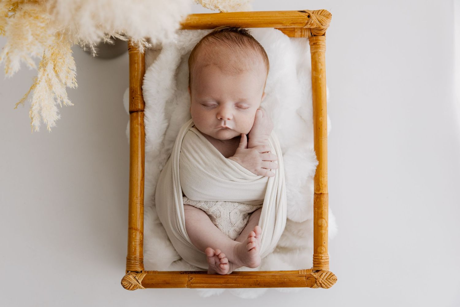 Newborn Photoshoot, Cannock