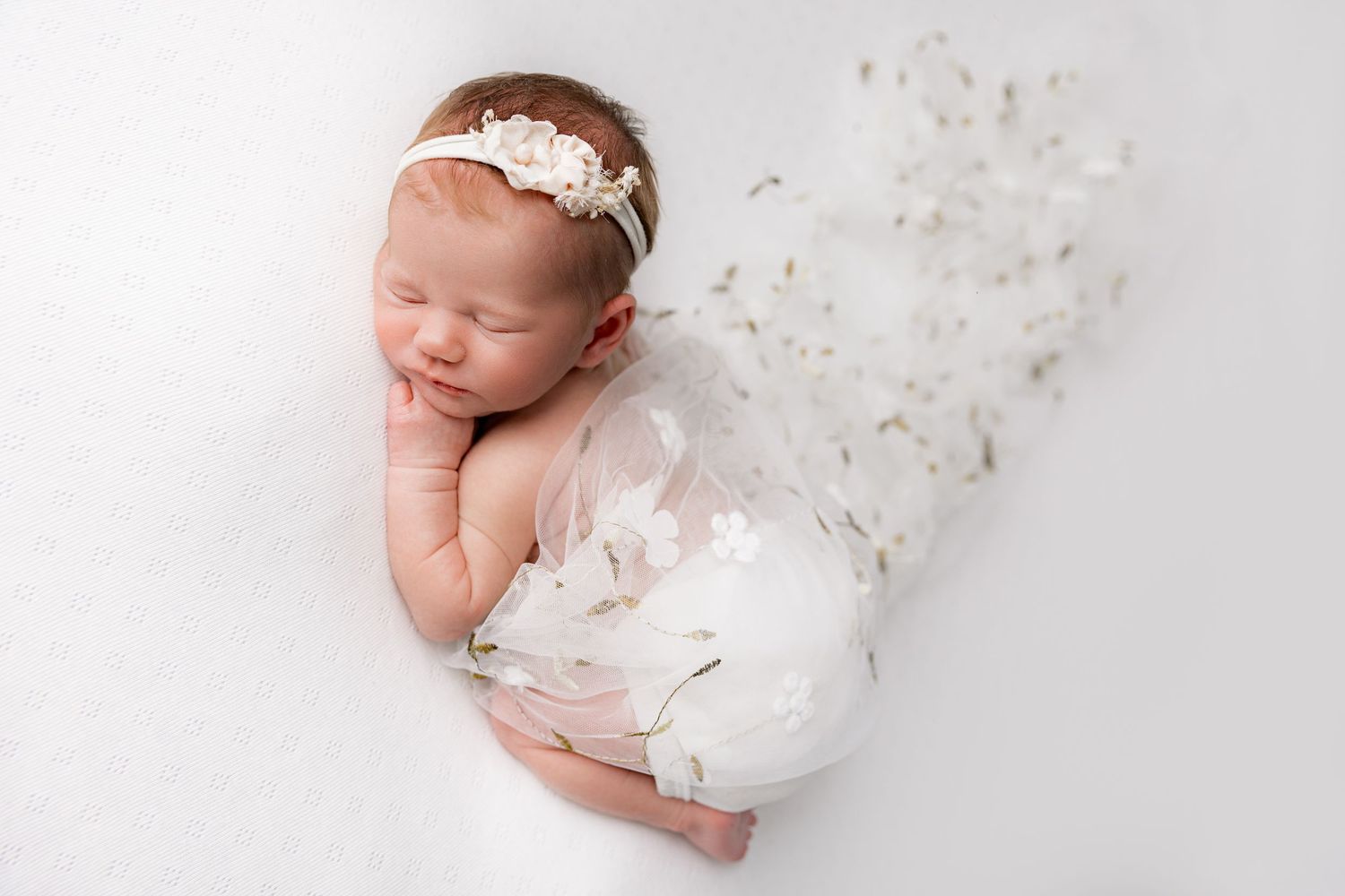 Newborn Photoshoot Cannock, Staffordshire, West Midlands, Birmingham