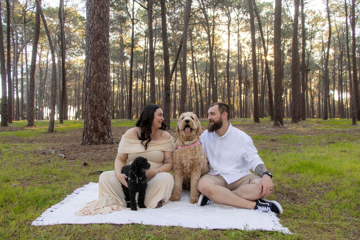 Couple celebrating their pregnancy announcement with natural, candid photos at Gnangara Pines in Perth during golden hour
