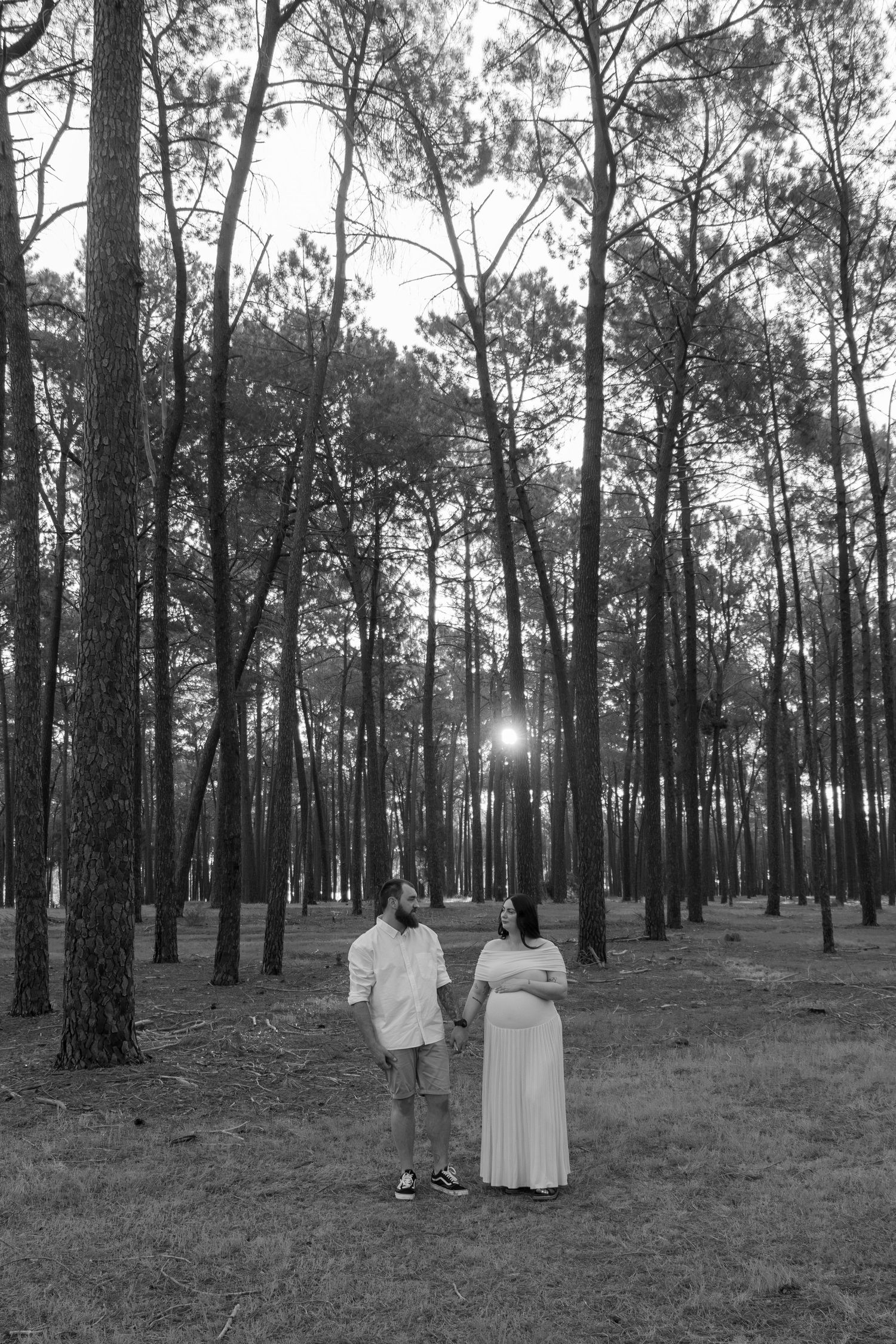 Couple celebrating their pregnancy announcement with natural, candid photos at Gnangara Pines in Perth during golden hour