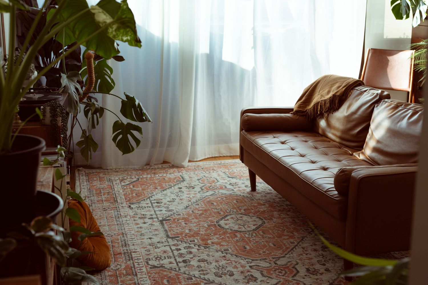 Brown tufted leather sofa on a vintage rug surrounded by lush indoor plants near sheer white curtains in a cozy living room.