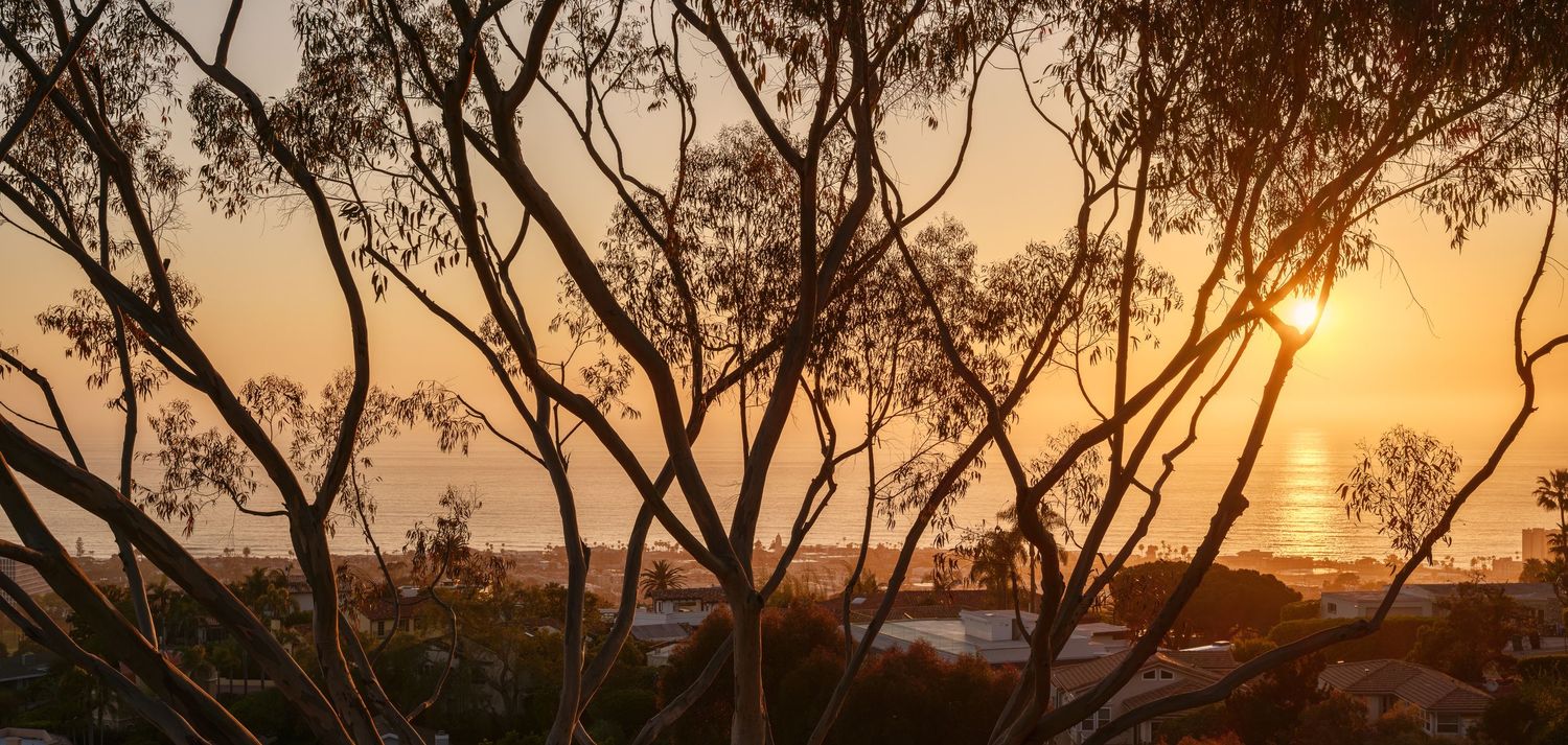 Sunset over La Jolla framed by eucalyptus from 7226 Romero, architectural photography san diego with Pacific Ocean views.