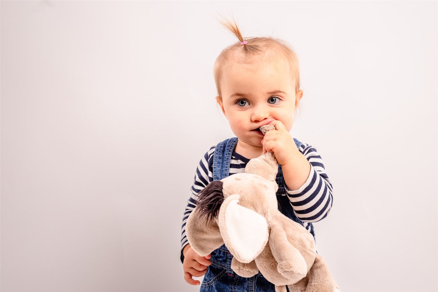 Baby in navy striped shirt holds a plush bunny toy while sitting against white background.