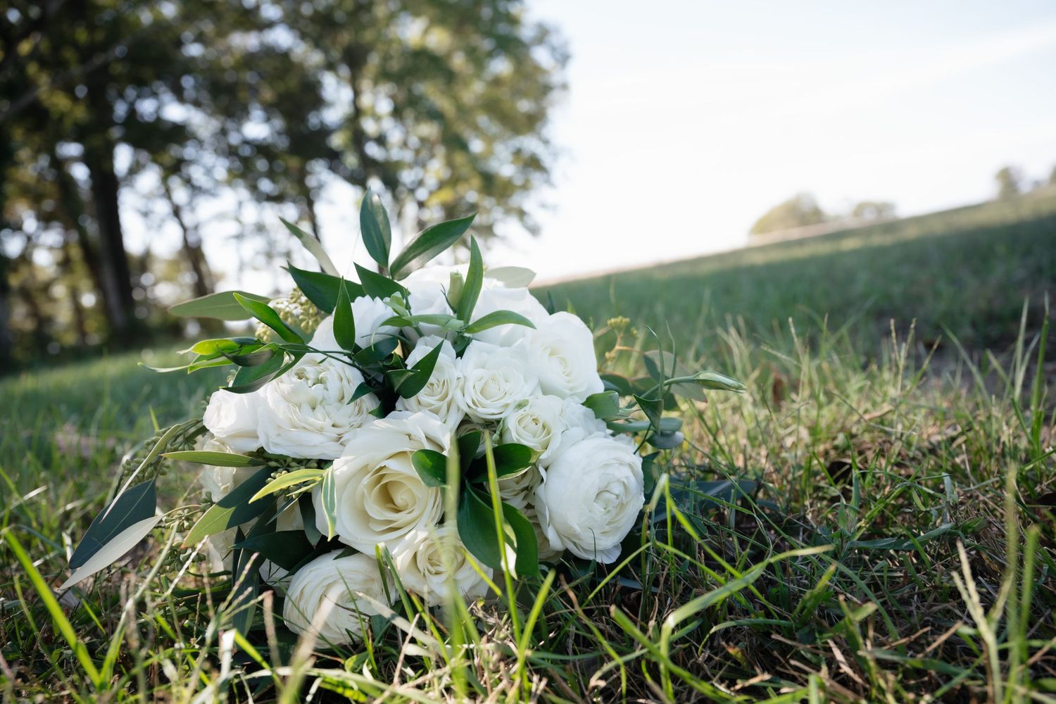 A beautiful white rose and peony wedding bouquet lying in green grass during golden hour sunlight.