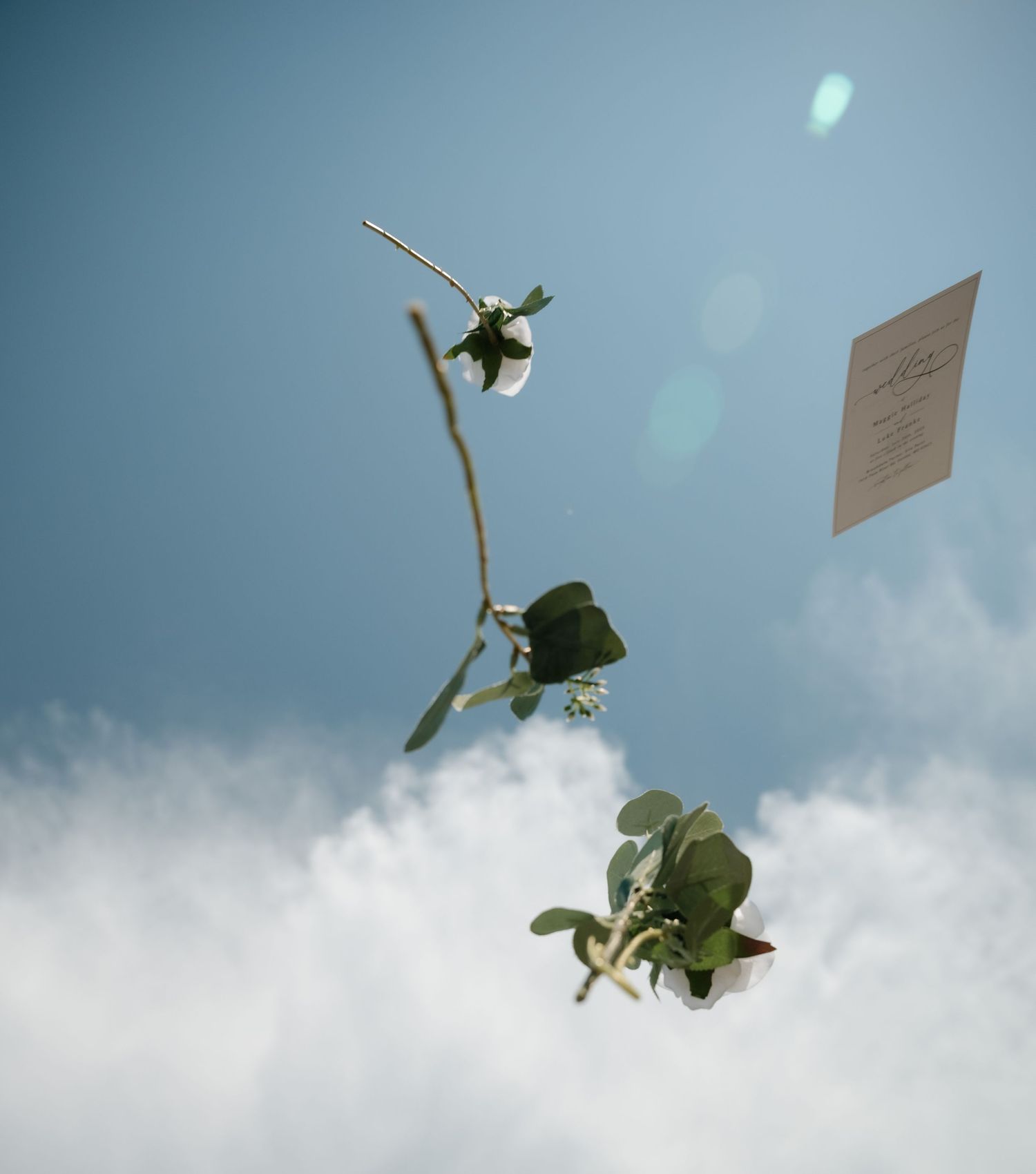 A sequence of leaves falling against a cloudy sky with a dreamy, ethereal quality.