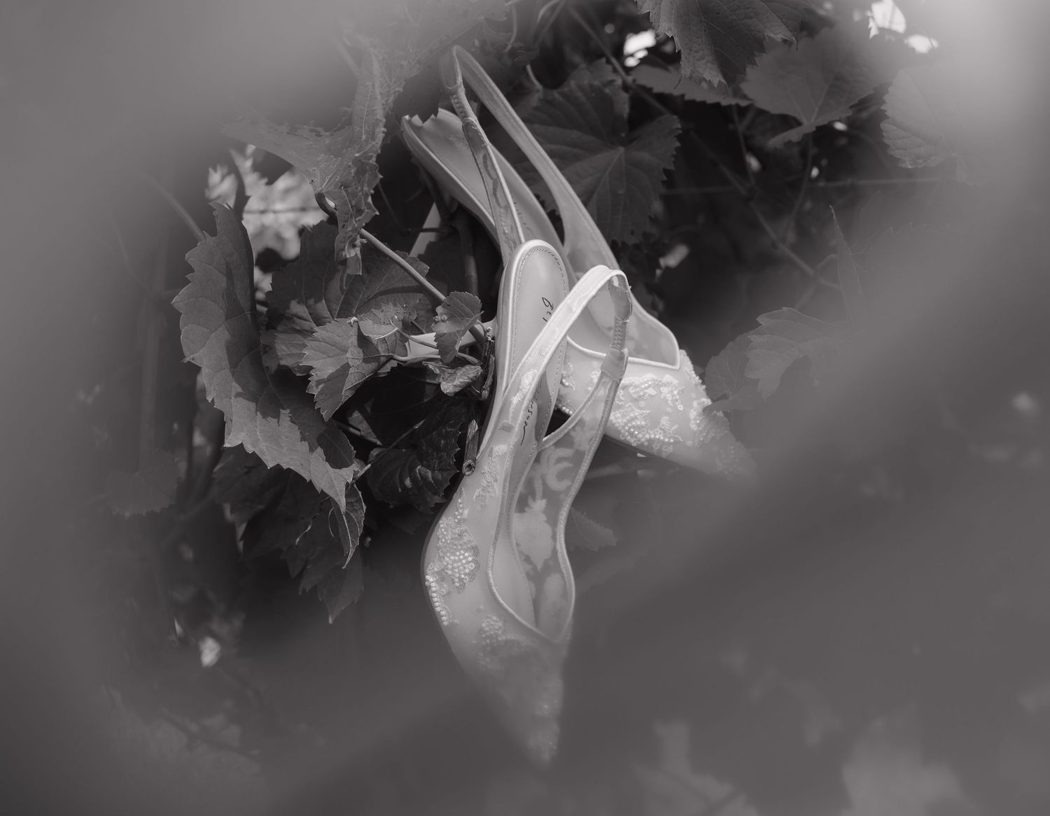 Abstract black and white photograph with soft blurred elements.