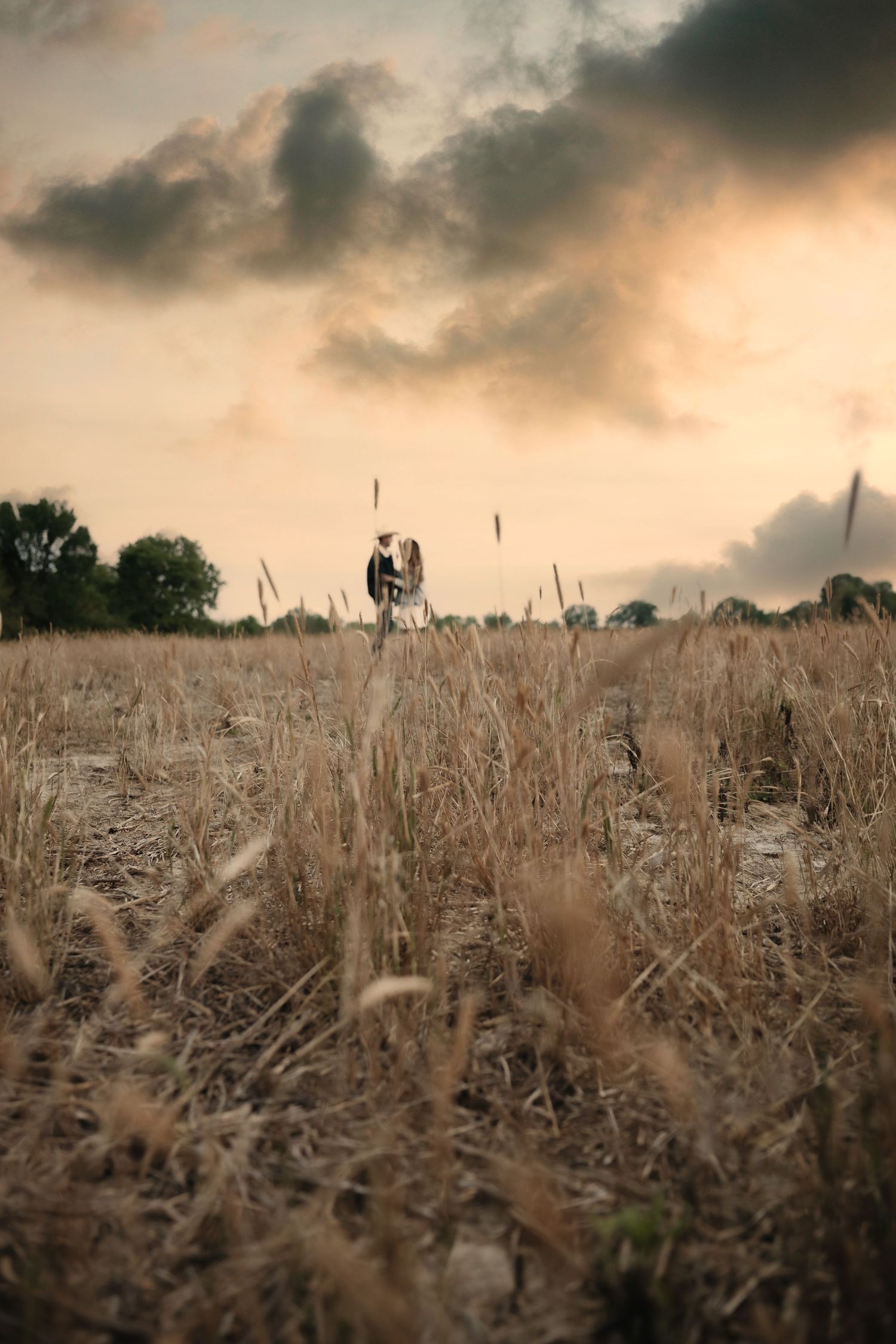 A dramatic sunset sky looms over a golden wheat field with dried stalks stretching into the distance.