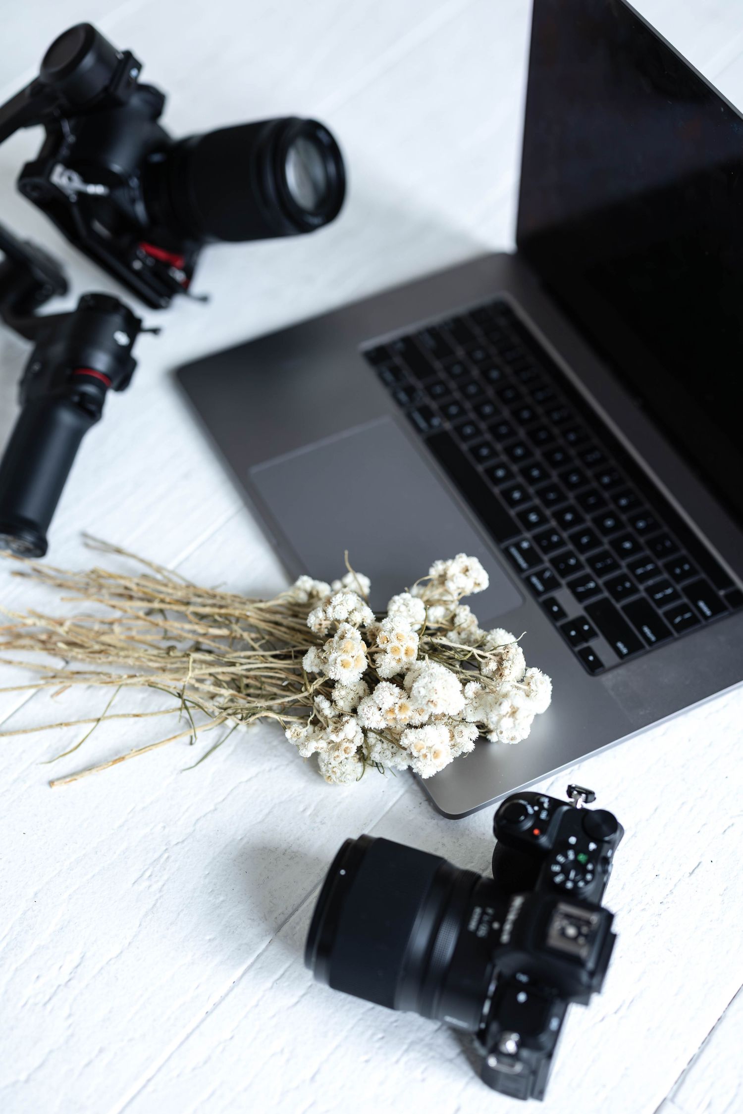 Professional photography workspace with laptop, two DSLR cameras and dried white flowers on white wooden surface.