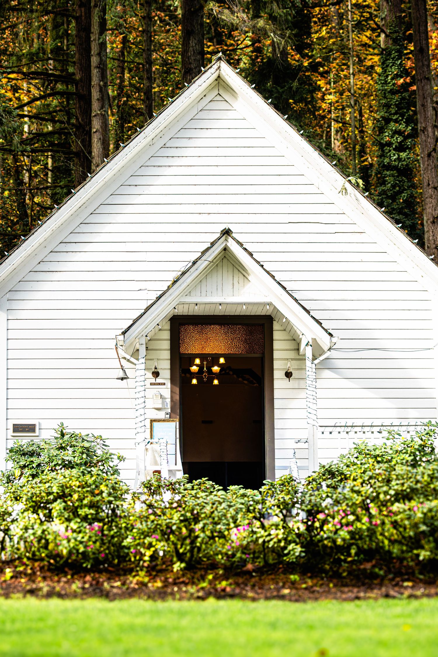 A row of white garden sheds with peaked roofs nestled among green bushes and trees in a wooded setting.