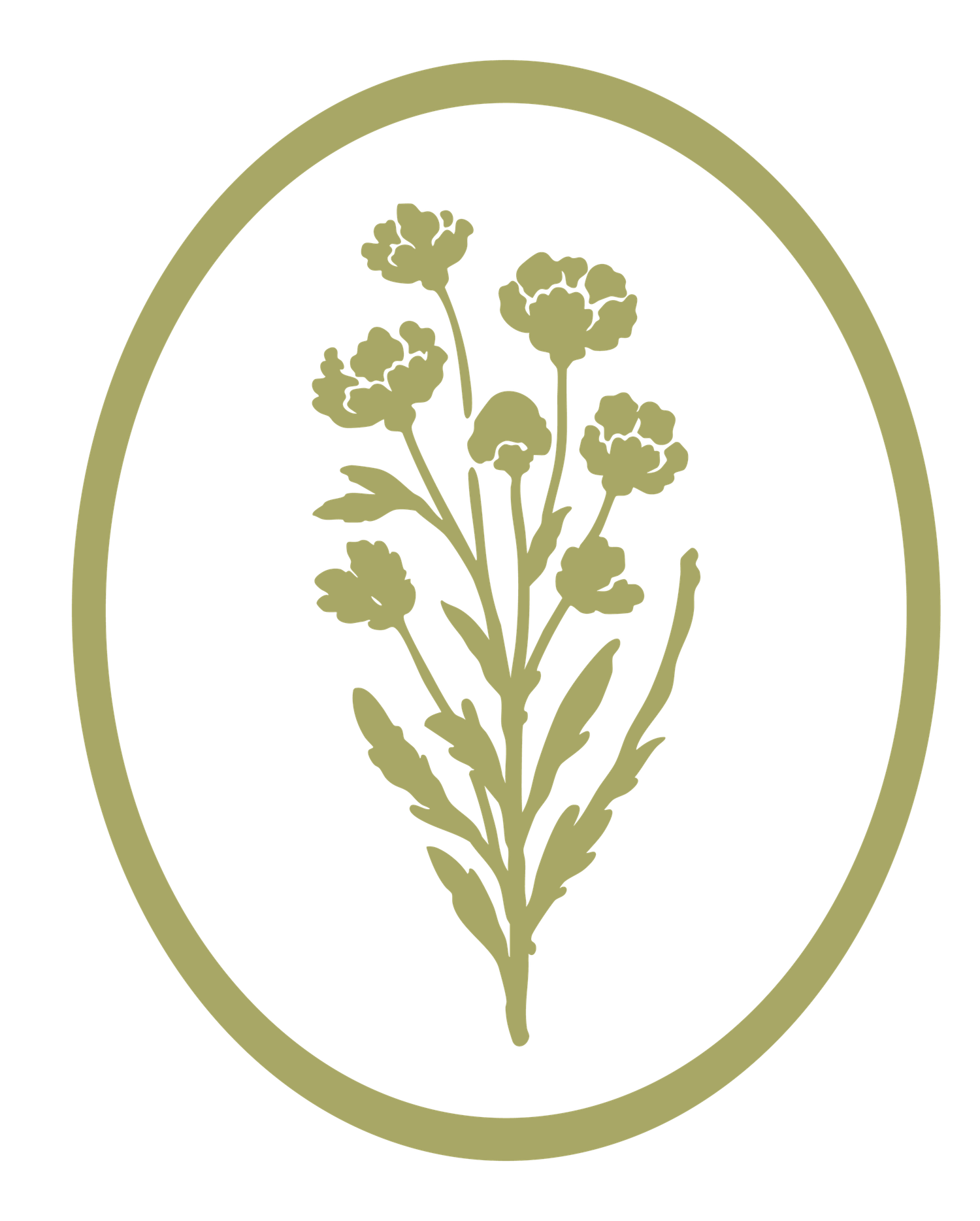 Simple botanical illustration of wildflowers in an olive green color, enclosed within an oval frame.