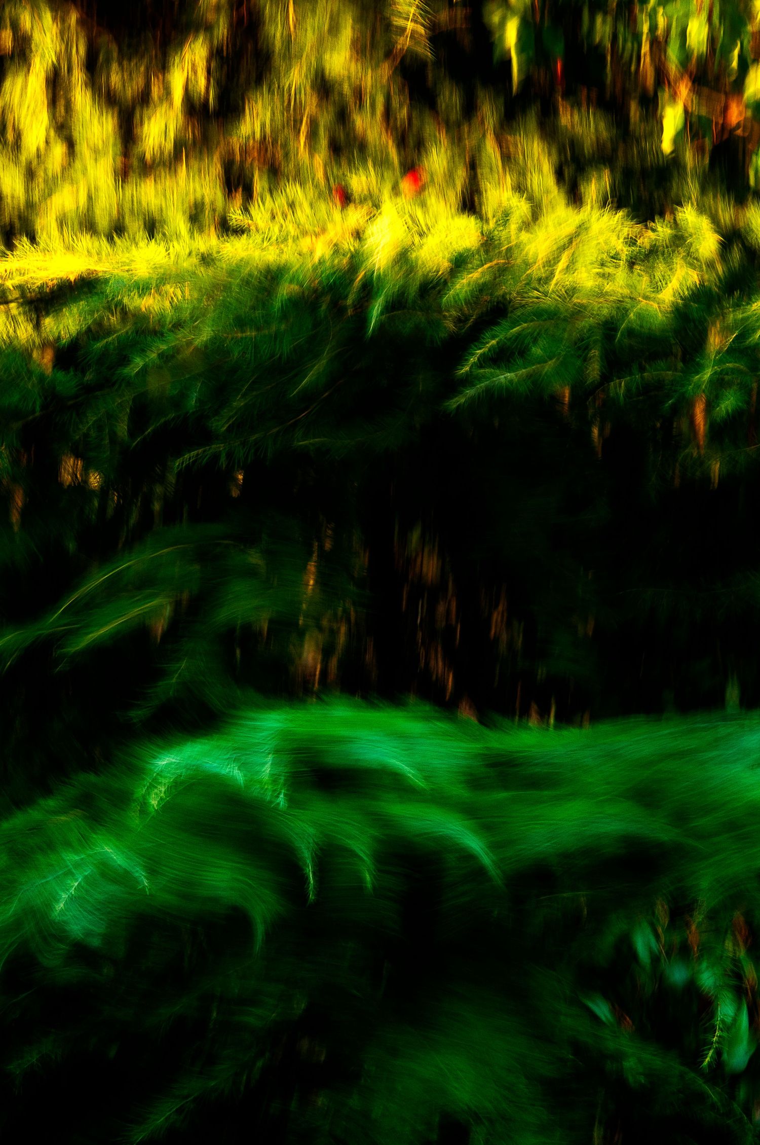Abstract motion blur photograph showing vibrant green and yellow streaks creating a dynamic nature-inspired pattern.