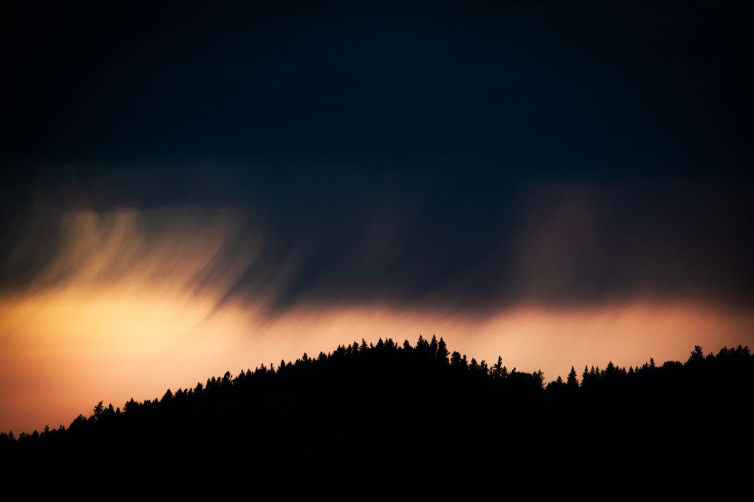 Dark silhouette of pine forest against a dramatic sunset sky.