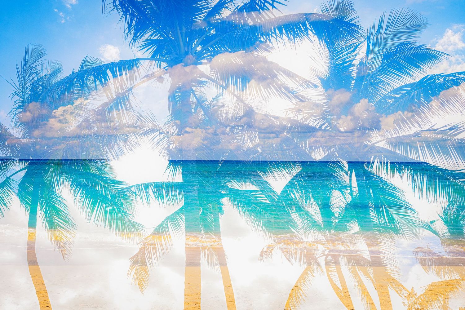 Double exposure of tropical palm trees silhouettes against turquoise ocean water and white sandy beach.