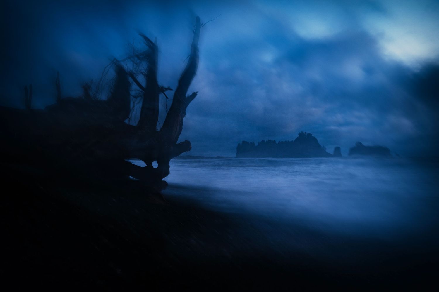 Silhouettes of ships and boats in a misty harbor at dusk with a dramatic blue sky.