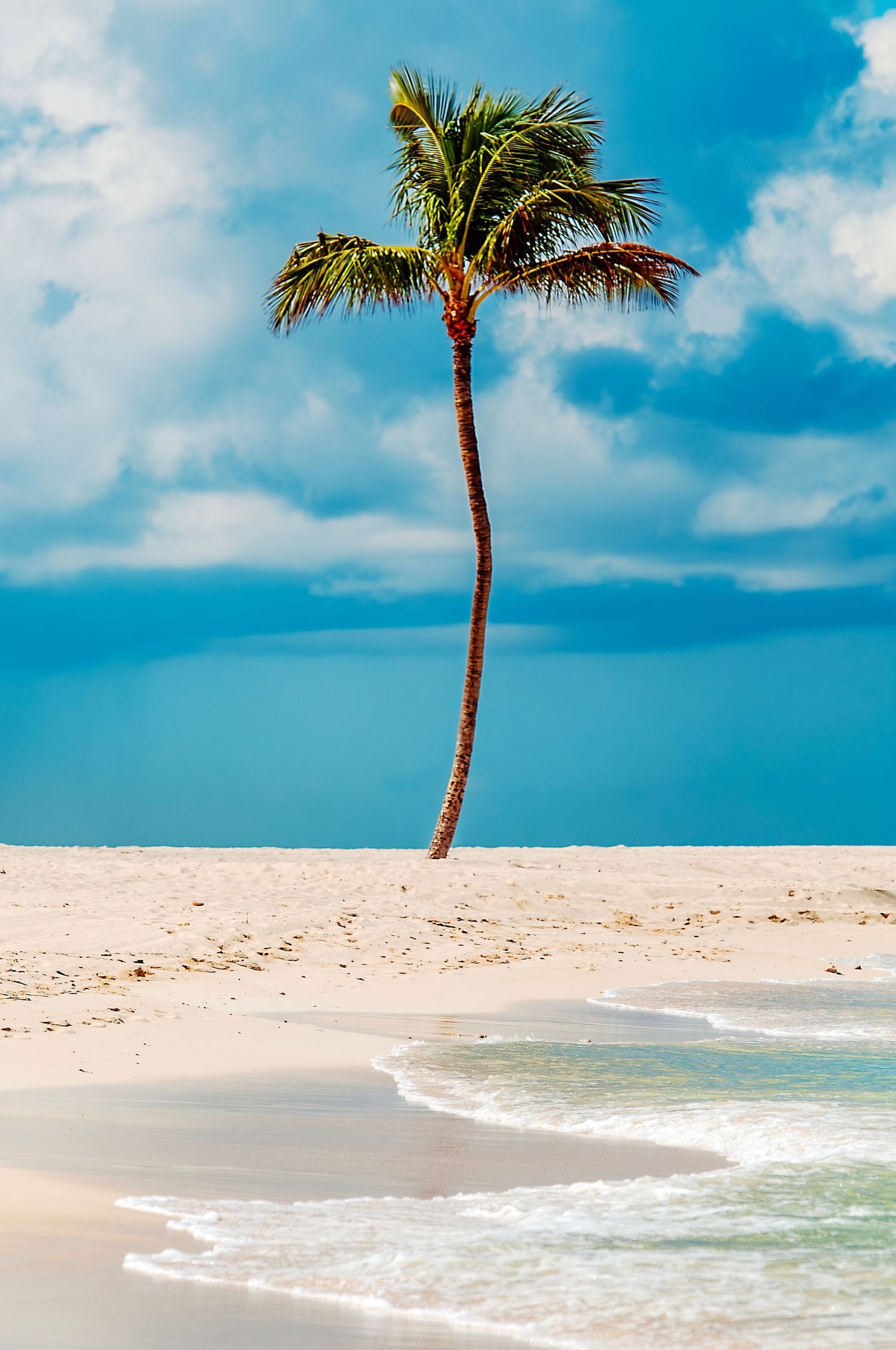 A lone palm tree stands on a pristine white sandy beach against a vibrant turquoise ocean and bright blue sky.