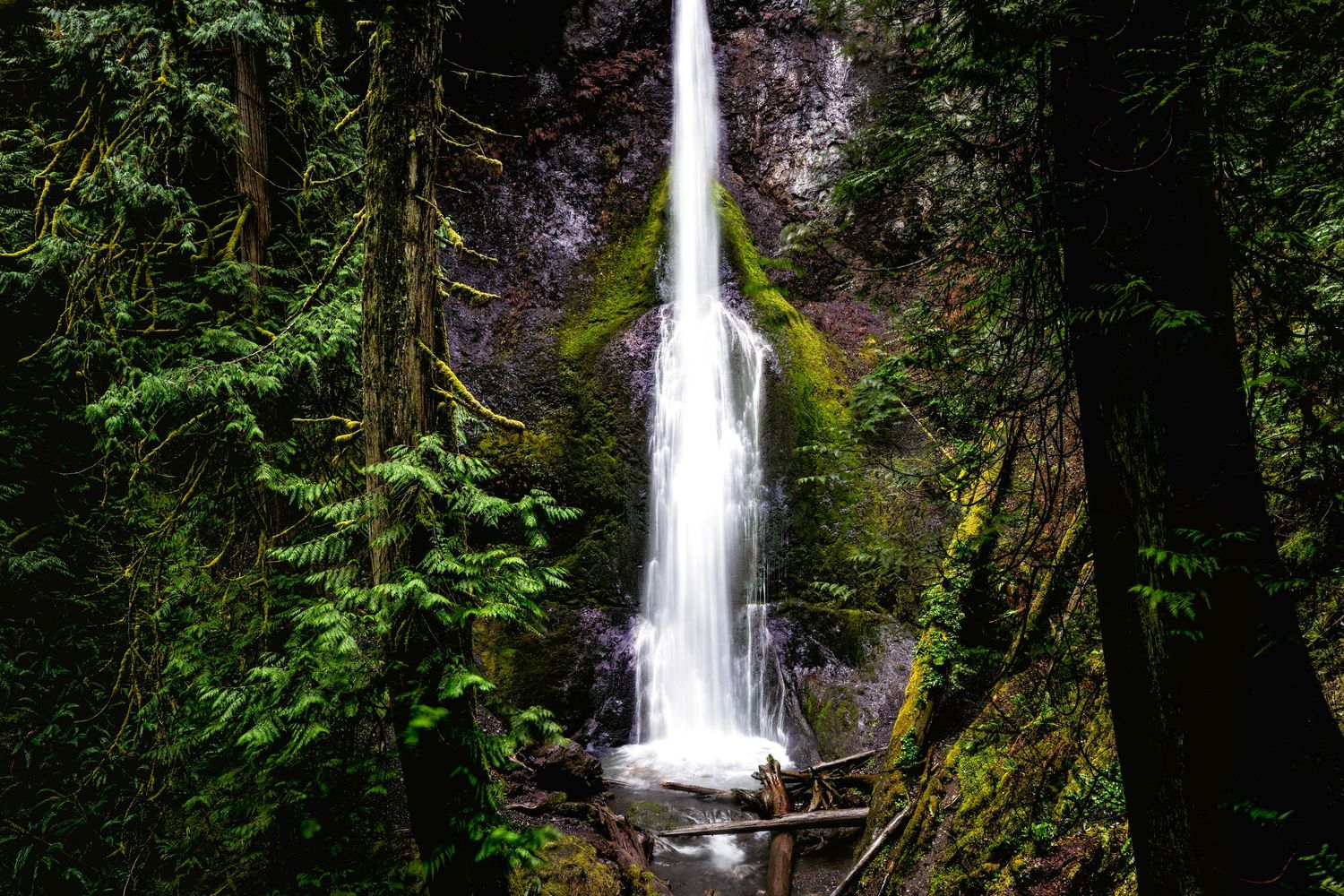 A tall cascading waterfall flows through mossy rocks in a lush green forest setting.