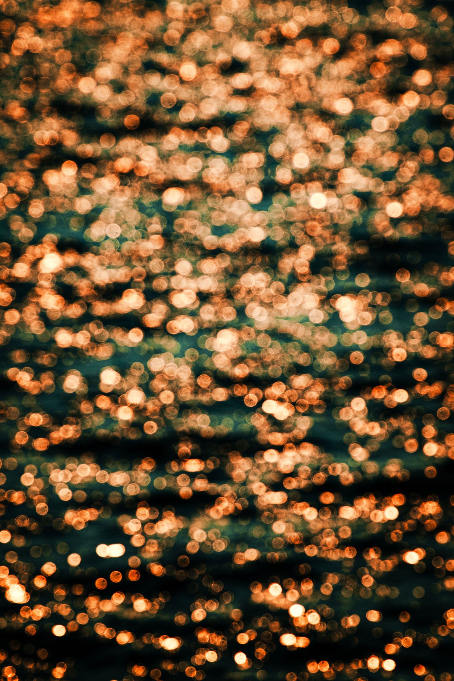 Golden bokeh lights create a magical sparkling pattern against a dark background.