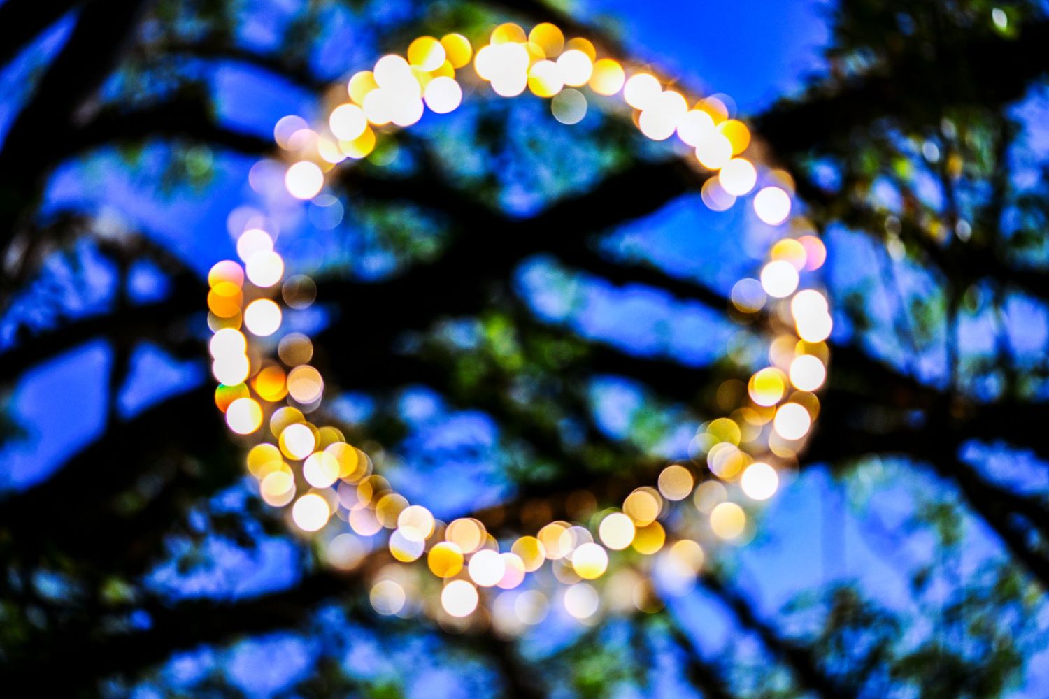 lights create bokeh circles against a deep blue twilight sky through tree branches.