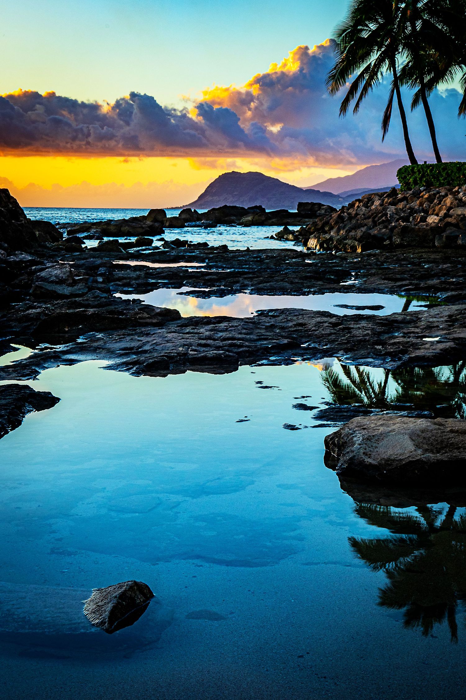 Scenic Hawaiian sunset over volcanic rocks and tranquil tide pools with silhouetted palm trees and mountains in the distance.