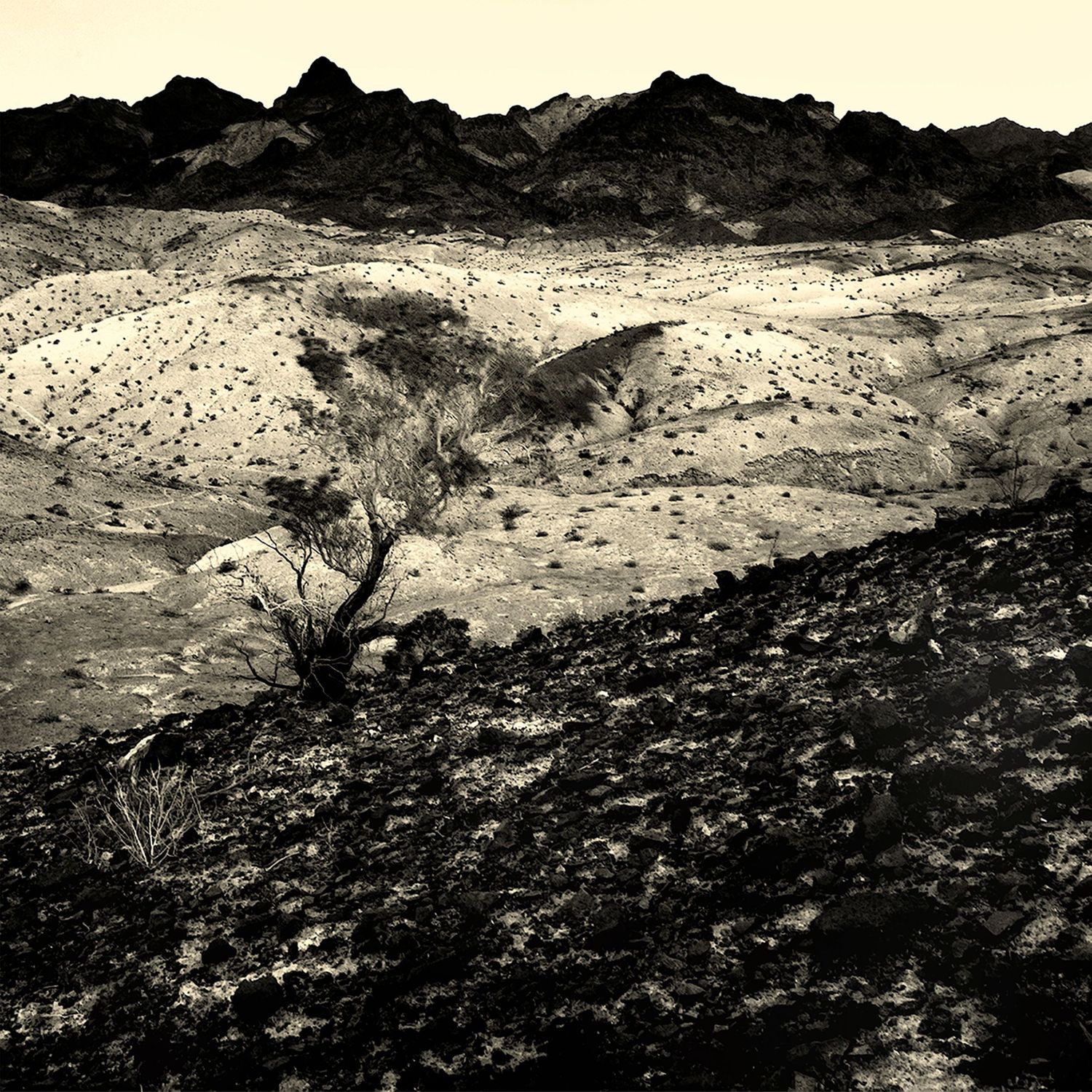 Black and white desert landscape with lone tree against rugged mountain backdrop.