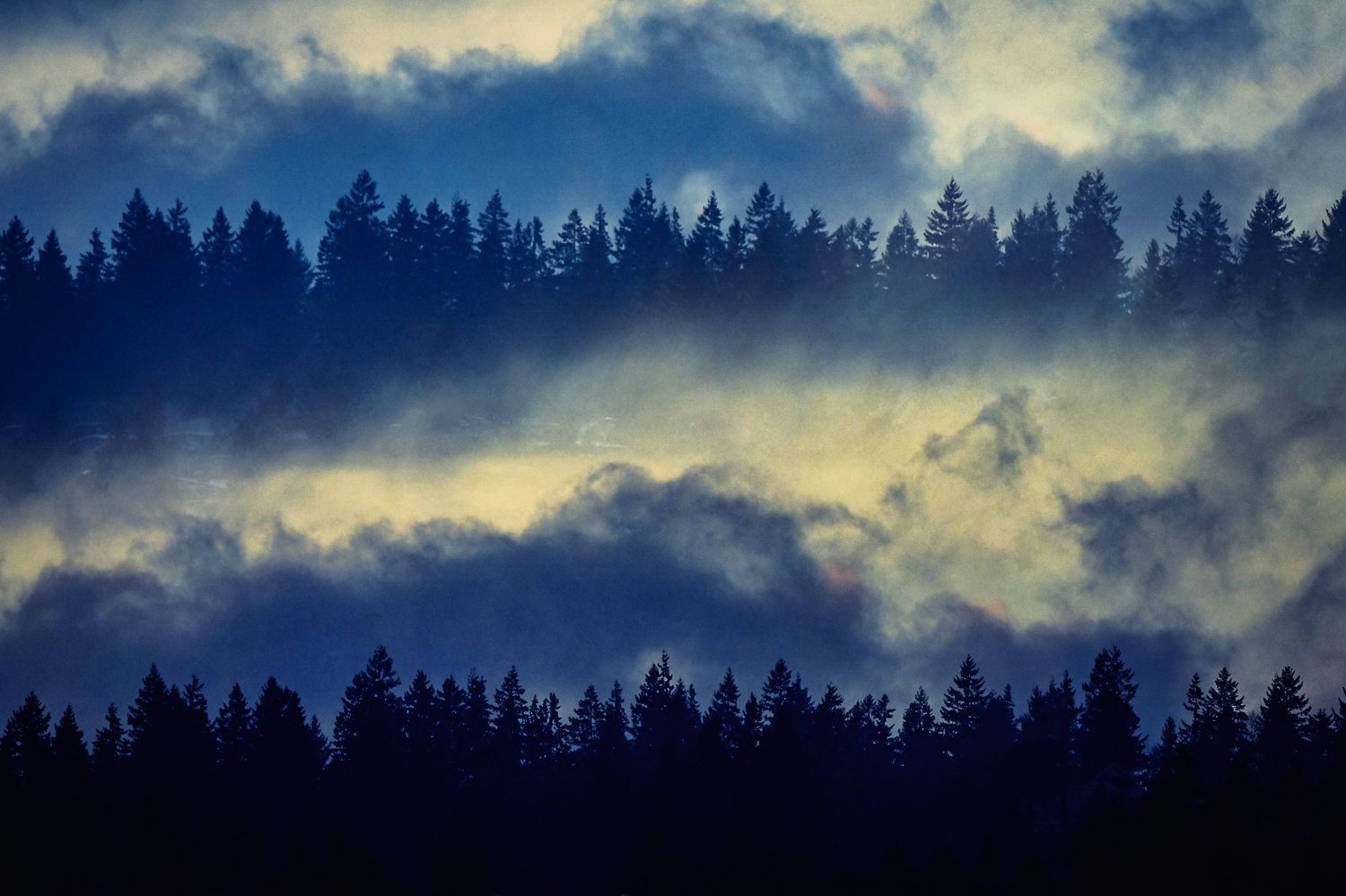 Silhouetted pine forest treeline against dramatic moody sky with dark clouds and golden sunlight breaking through.