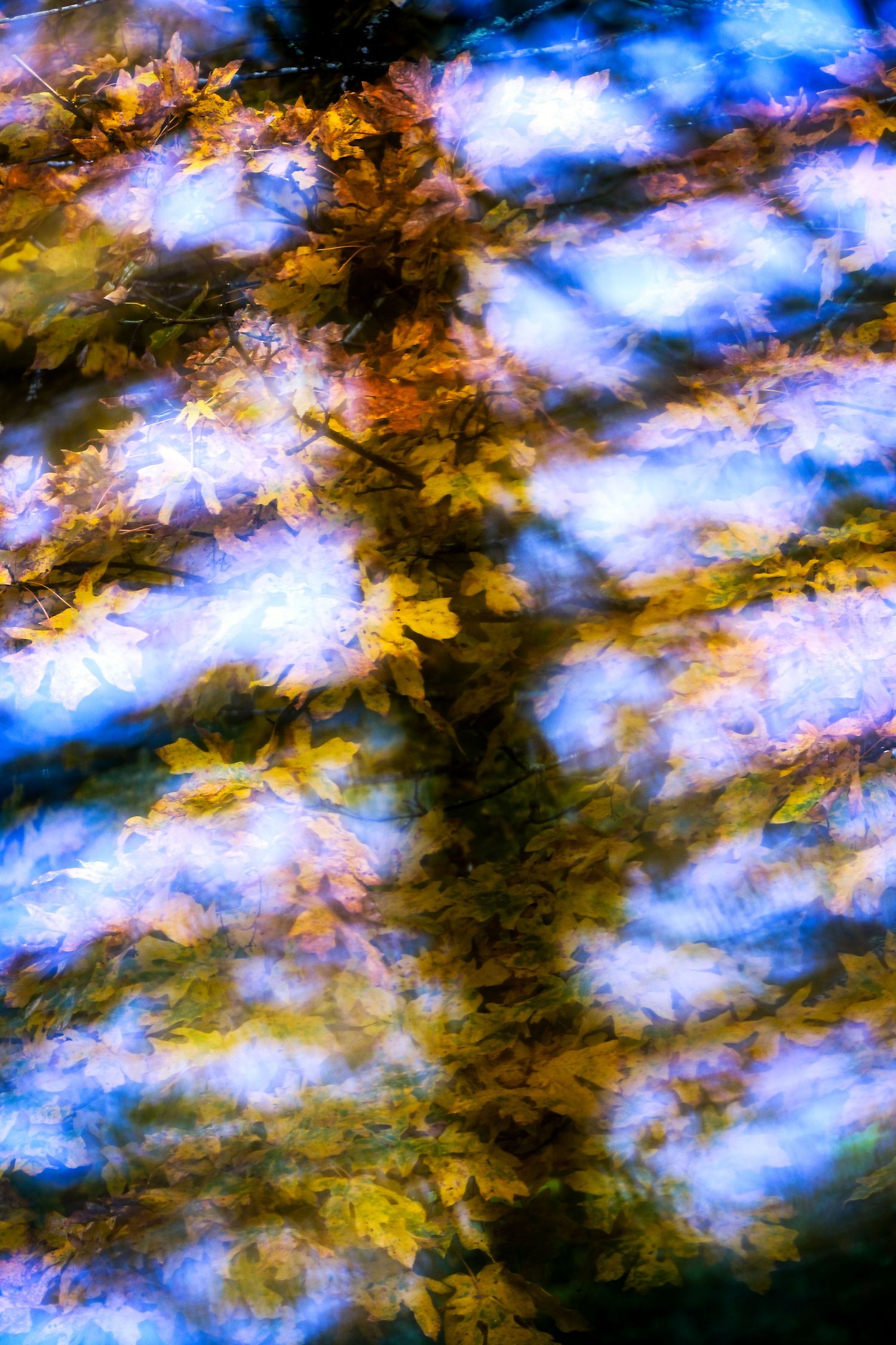 Abstract art with swirling patterns of deep blue and golden yellow creating a dynamic cloudy effect.