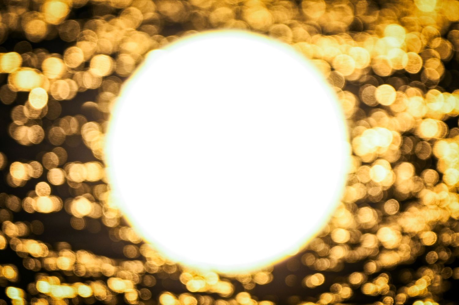 Glowing white circle surrounded by golden bokeh lights on dark background, festive holiday bokeh light effect.