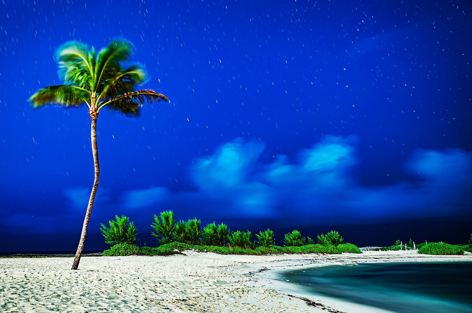 A lone palm tree stands on a white sandy beach against a deep blue night sky with stars and wispy clouds.