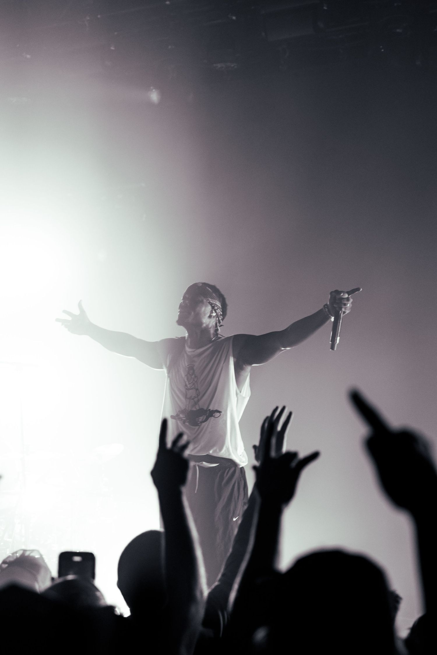 Concert performer silhouetted on stage with raised arms as crowd cheers in atmospheric lighting.