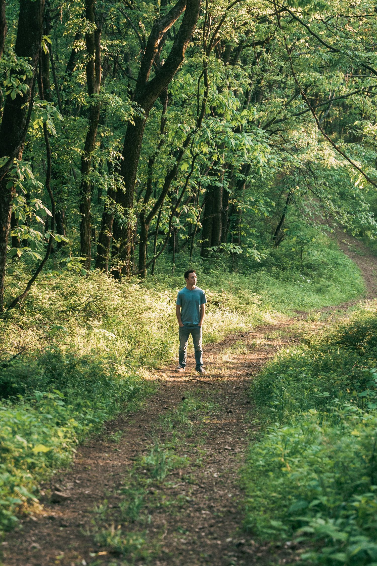 Person walking along a sunlit forest trail surrounded by lush green trees.