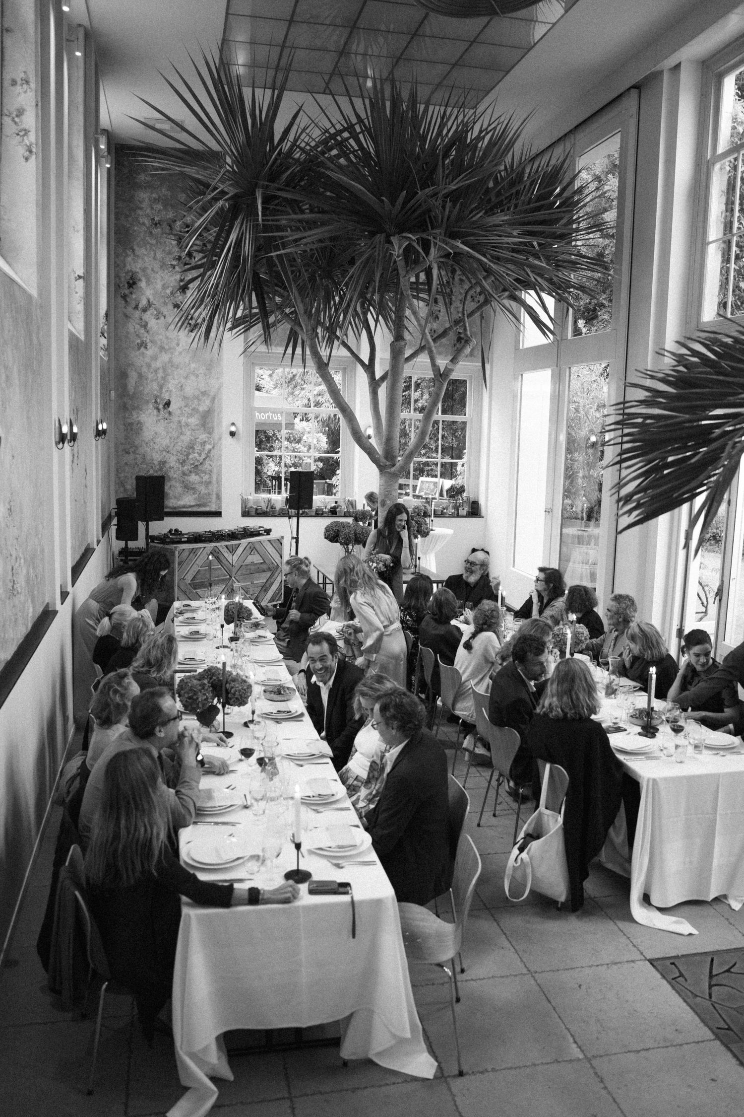 Black and white aerial view of wedding reception guests seated at long decorated tables in elegant restaurant with tropical plants.