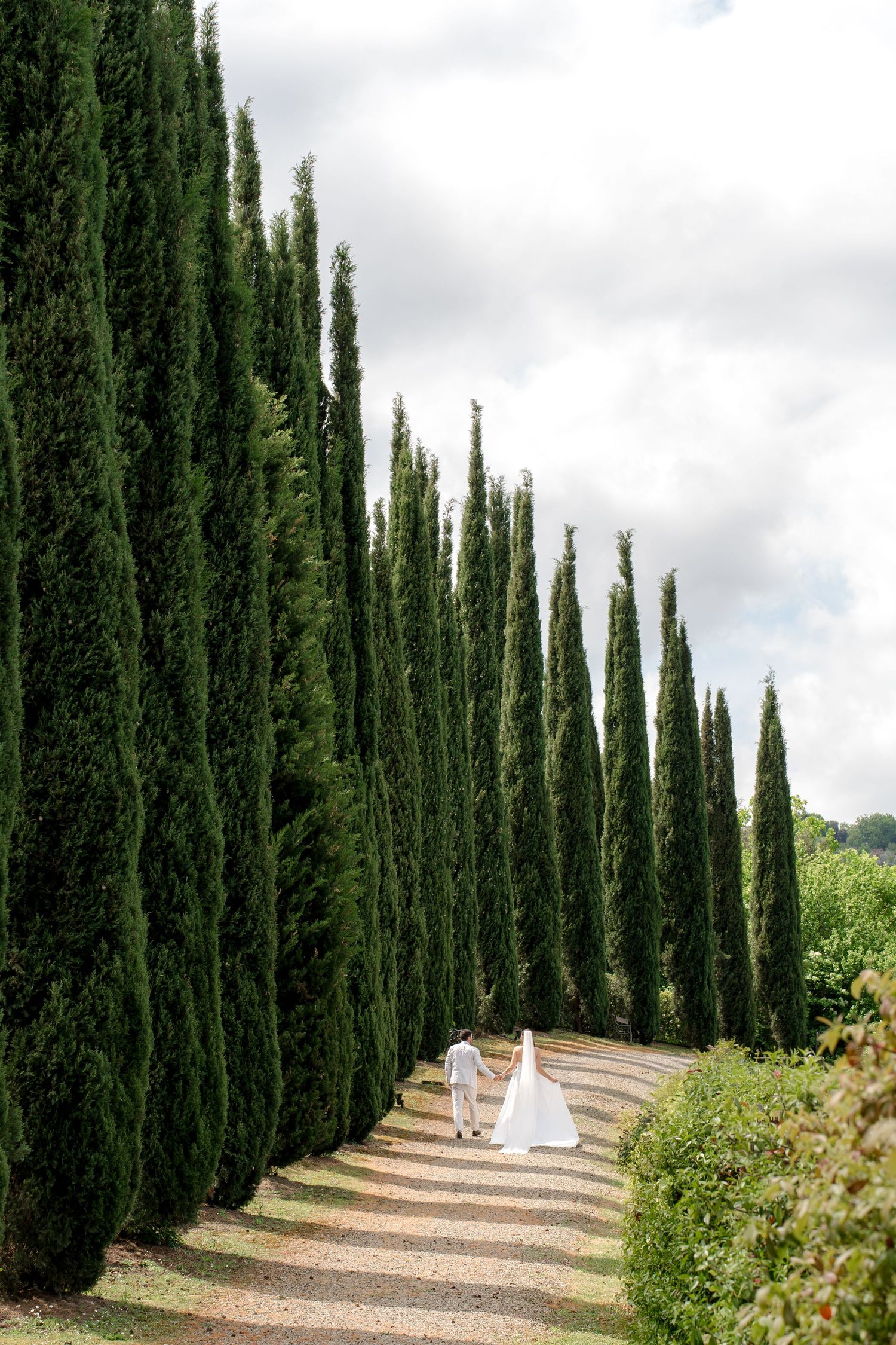 Bride and groom walk together along a tall cypress tree avenue at an Italian countryside wedding.
