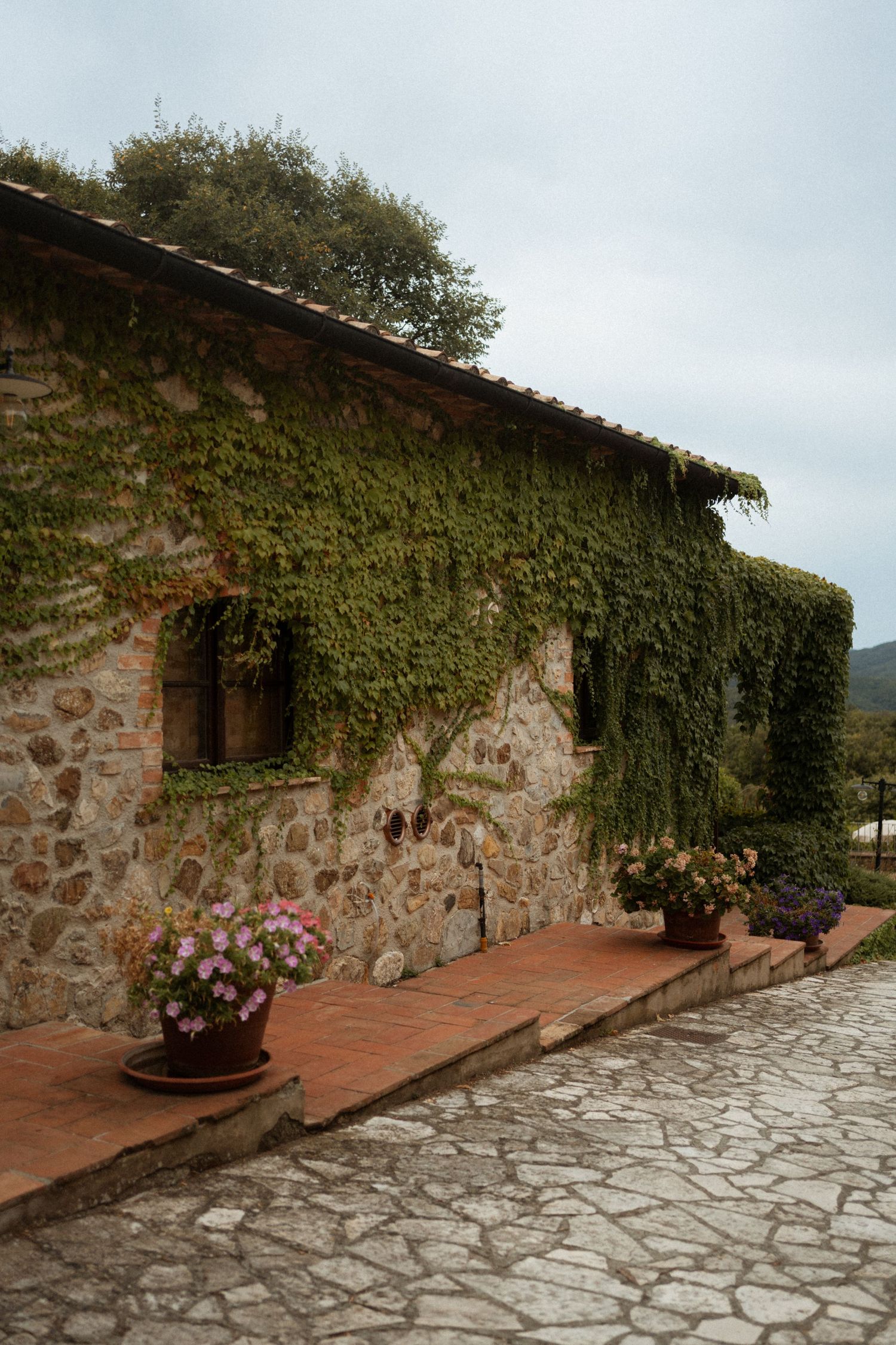 A rustic stone building with ivy-covered walls and terracotta patio features potted flowers and stone pathway.
