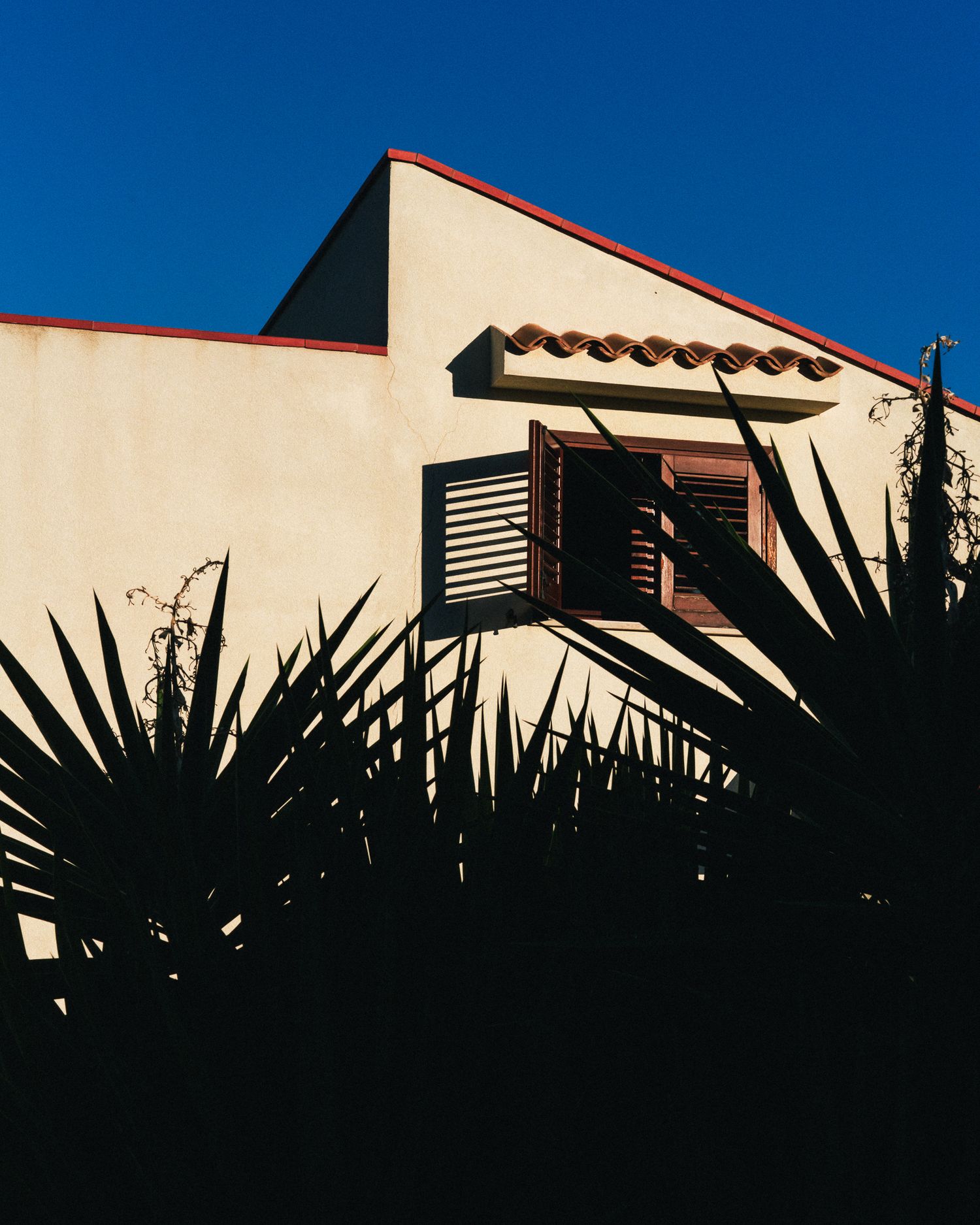 Silhouetted palm fronds against a blue sky with white architectural details of a building visible in the background.