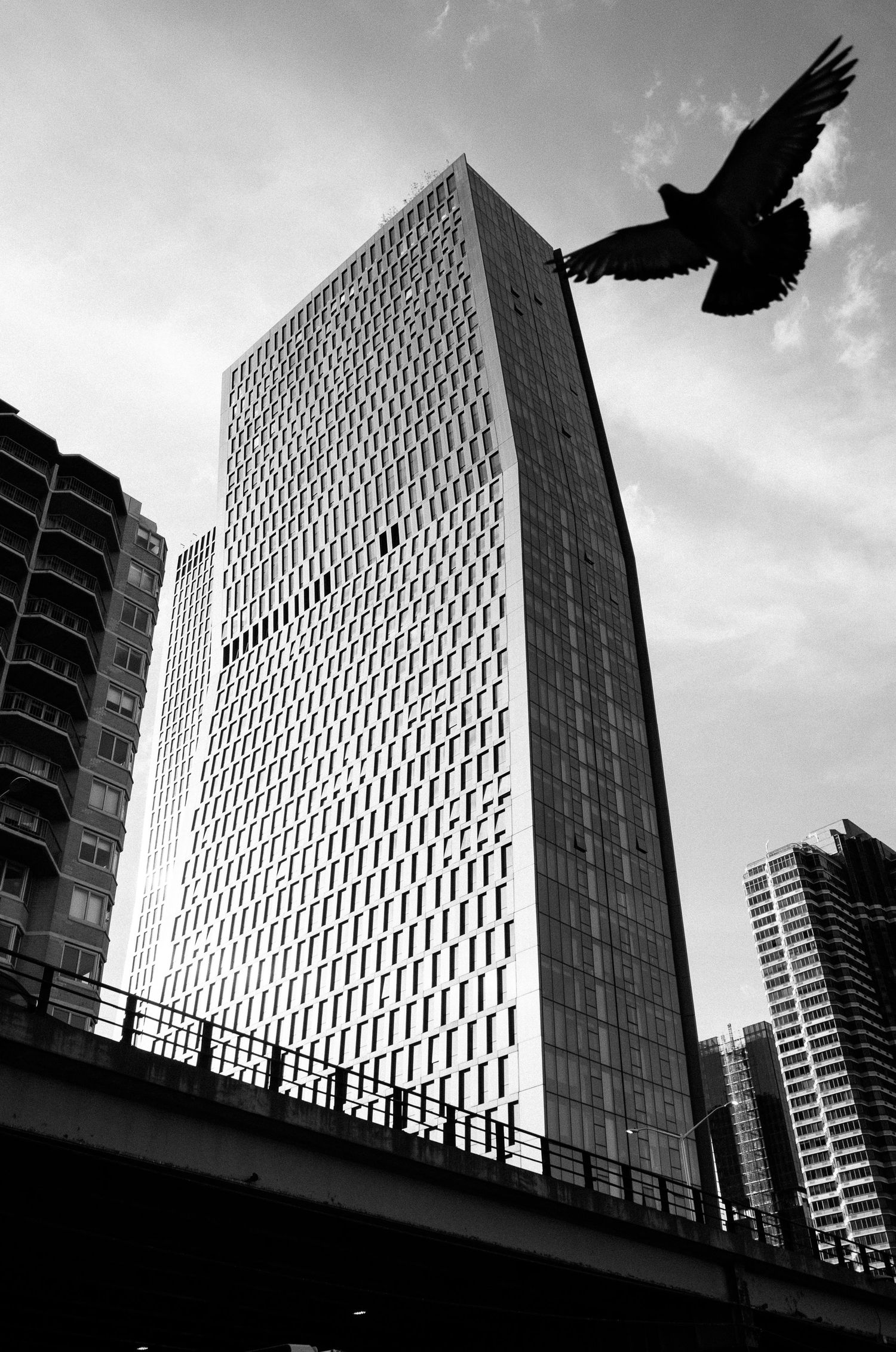 Dramatic sequence of a bird silhouette flying past a modern skyscraper against a cloudy sky.