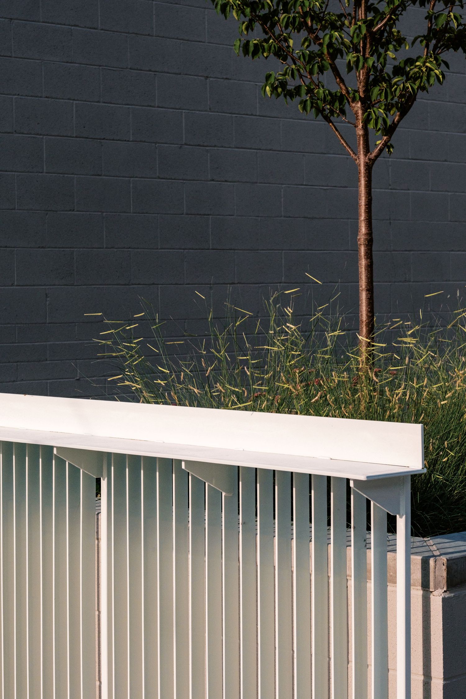 Modern exterior wall design with white vertical panels and young trees planted alongside.