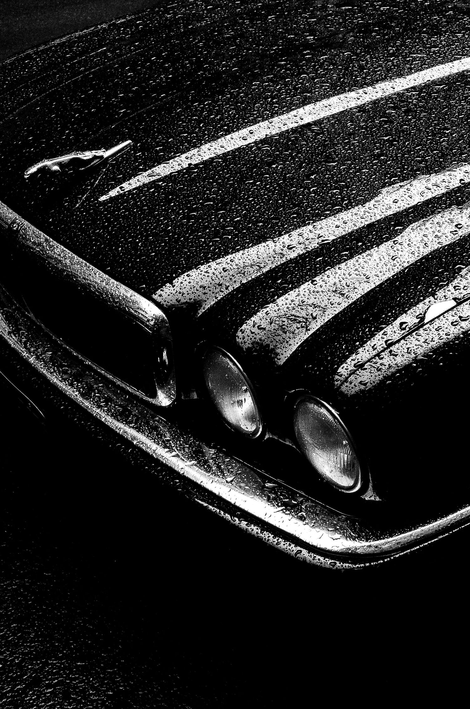 High contrast black and white close-up of a classic car's sleek chrome bumper and body panel details.