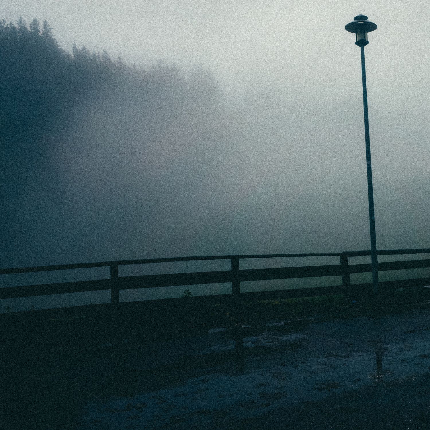 Foggy landscape with silhouettes of trees and lamp posts creating a moody atmospheric scene at dusk.
