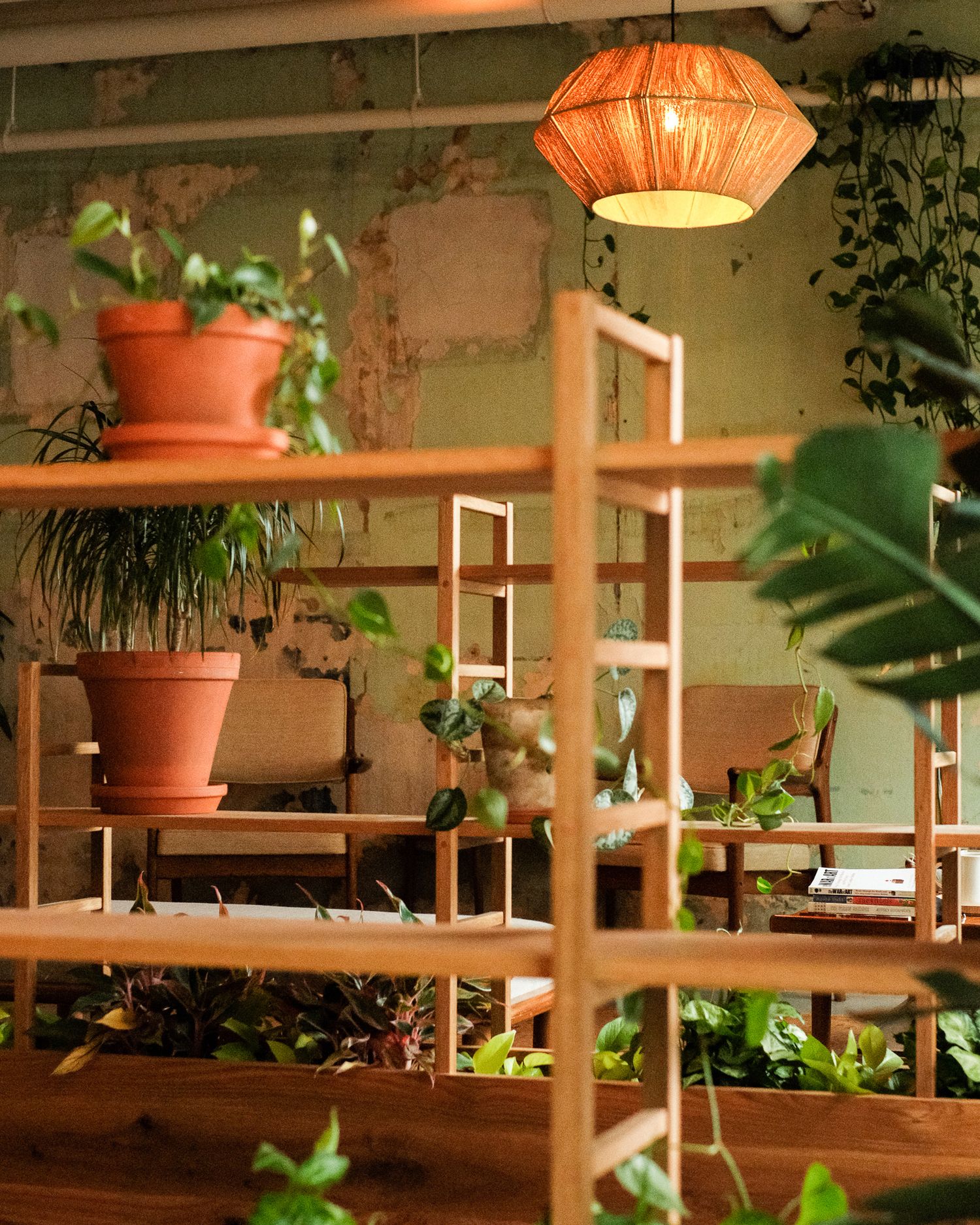 Indoor garden space with hanging lanterns and potted plants on wooden shelves.