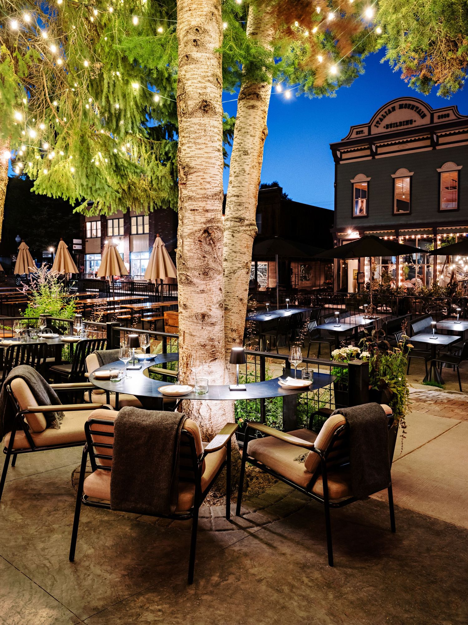 Cozy outdoor seating area under trees with twinkling lights and comfortable lounge furniture.