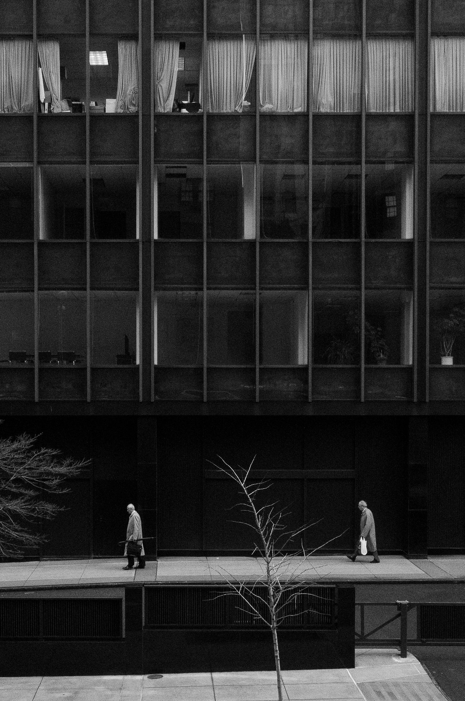 Minimalist black and white architectural photograph showing a modernist building facade with glass windows and bare trees.