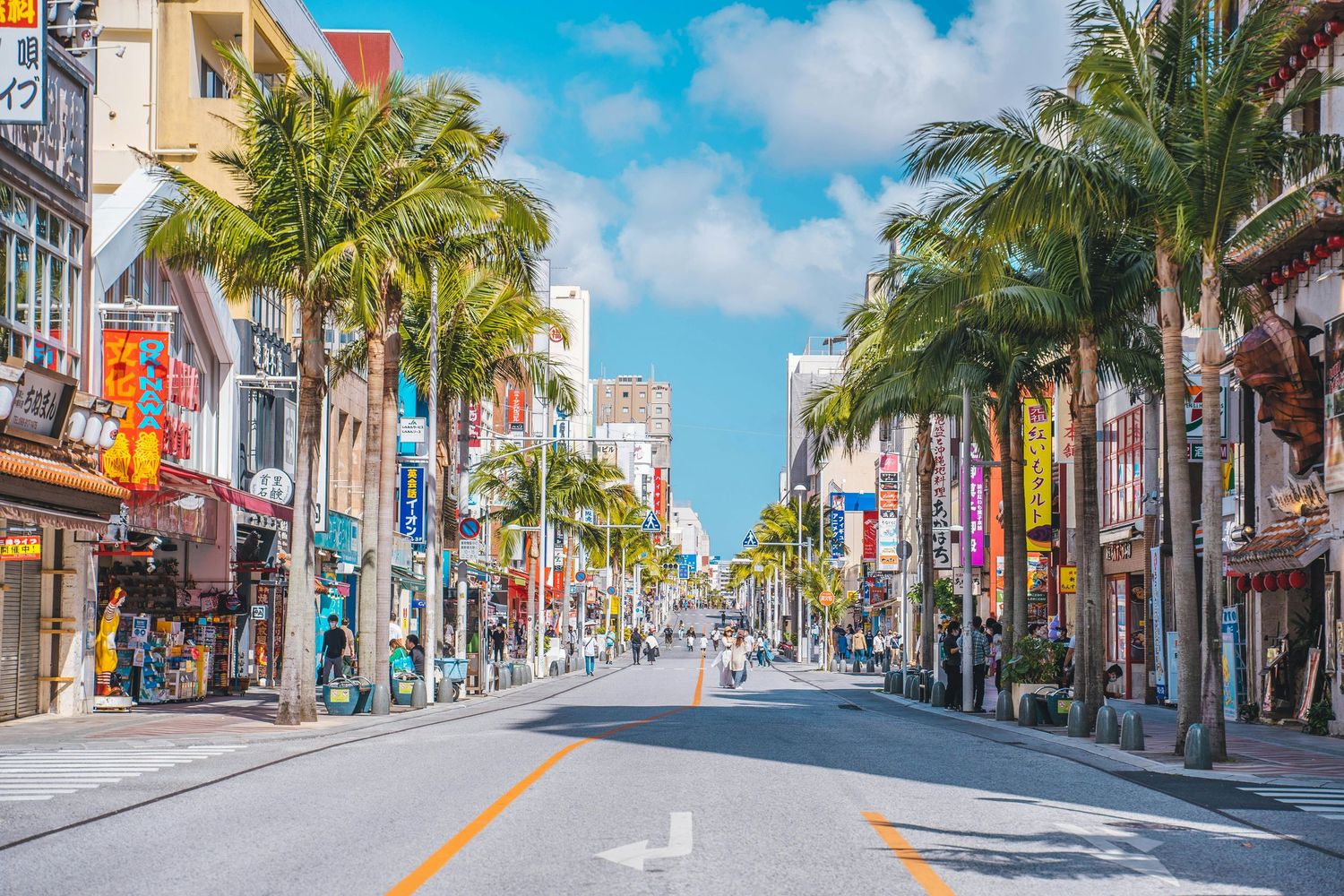 Palm tree-lined street with colorful shops and buildings in tropical tourist destination.